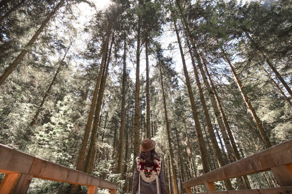 Comment compenser son empreinte carbone quand on voyage ?